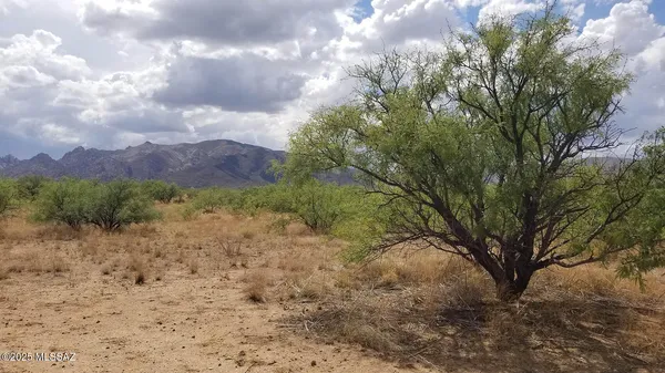 $2,800 | 1-acre West Birch Road, Unit 3, Cochise, AZ 85606