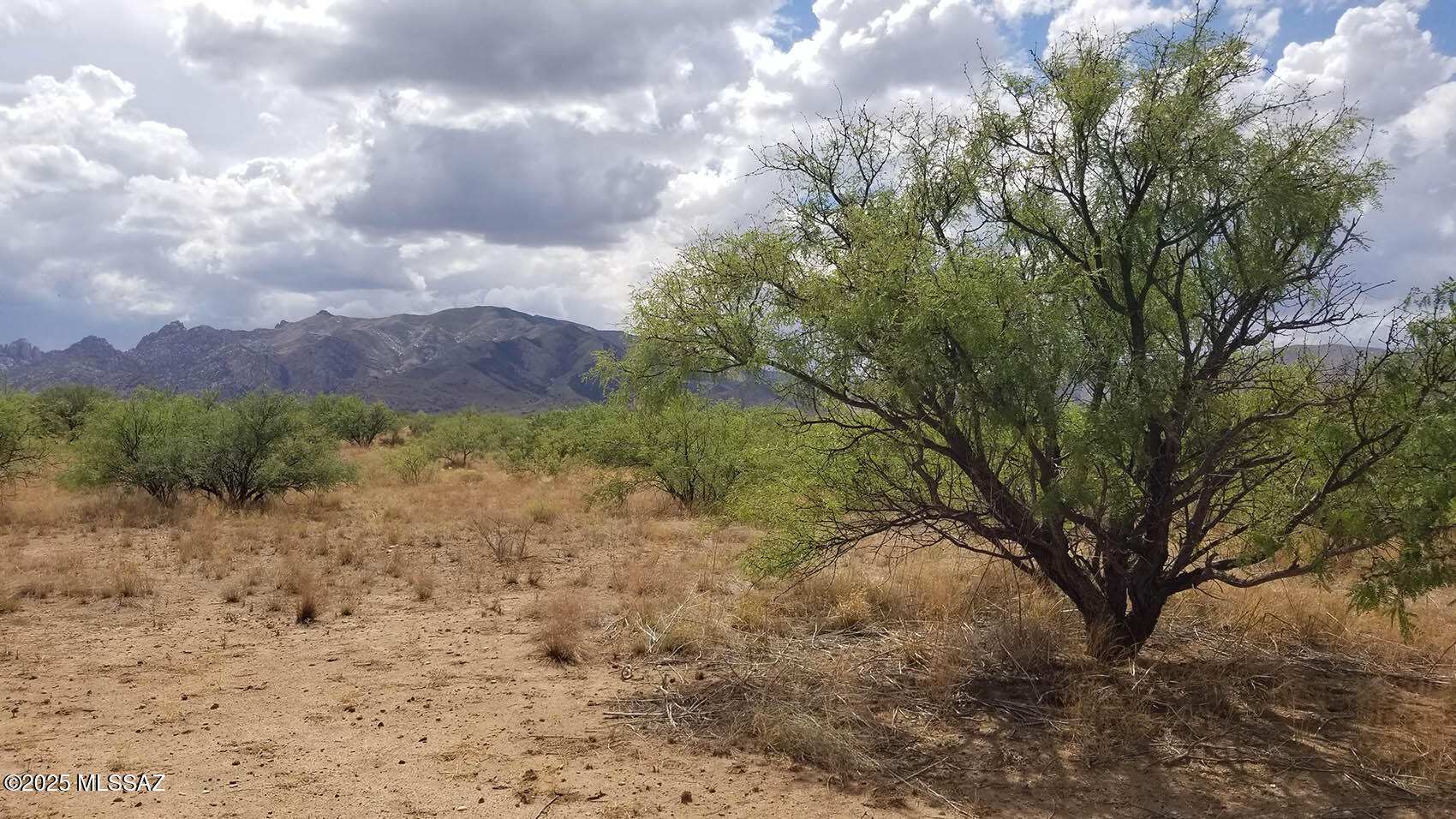 1-acre West Birch Road, Unit 3 Cochise, AZ 85606 - Photo 1 of 9