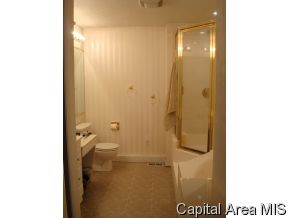 5008 Wesley Chapel Road New Berlin, IL 62670 - Photo 11 of 11 Gallery Image 11