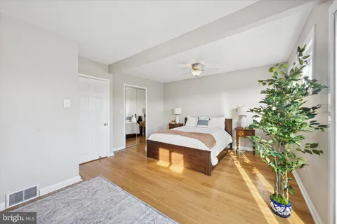 a spacious bedroom with a bed and a potted plant