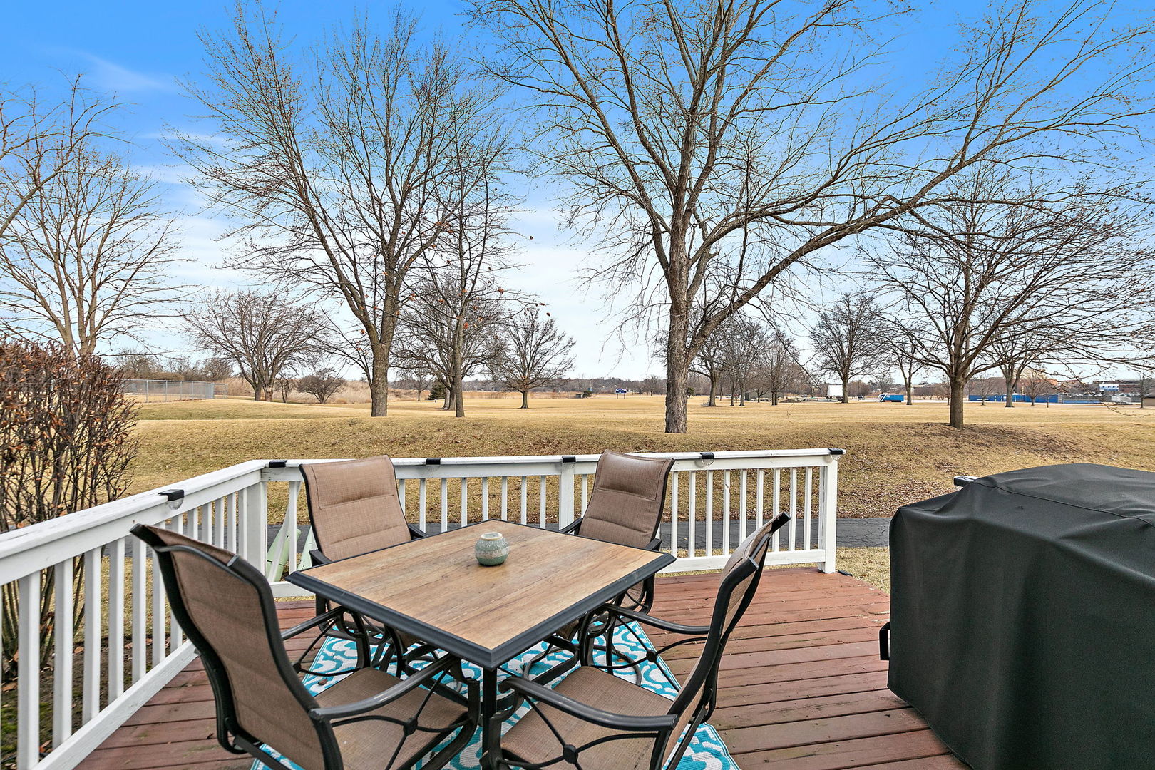 2060 Muirfield Circle Elgin, IL 60123 - Photo 21 of 23