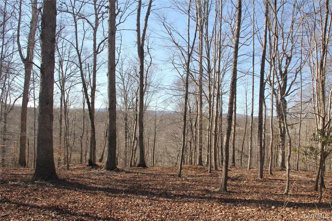 6 Paddock Wood Road Keswick, VA 22947 - Photo 3 of 5