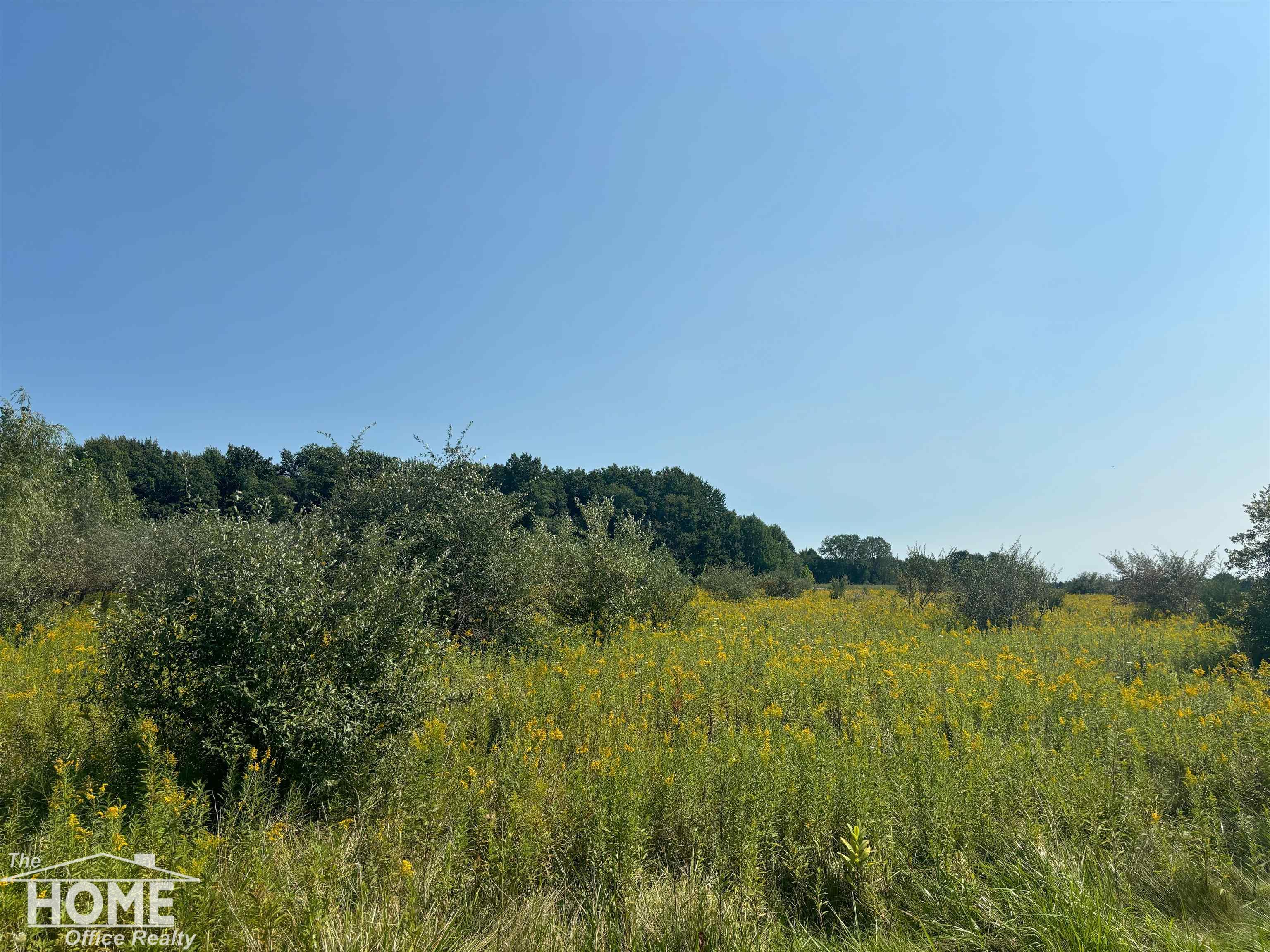 Walters Road Oakley, MI 48649 - Photo 3 of 3