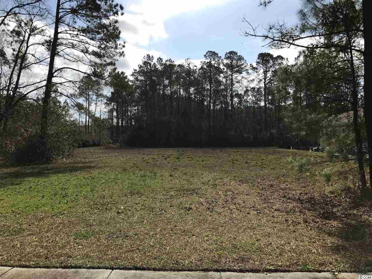 Lot 500 Chamberlin Road Myrtle Beach, SC 29588 - Photo 1 of 10 Gallery Image 1