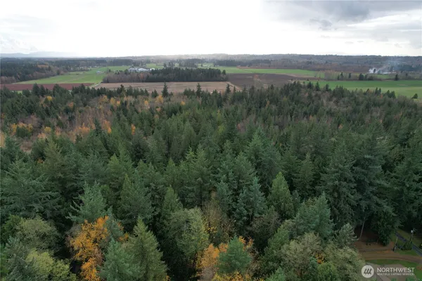 a view of a lush green forest with a houses