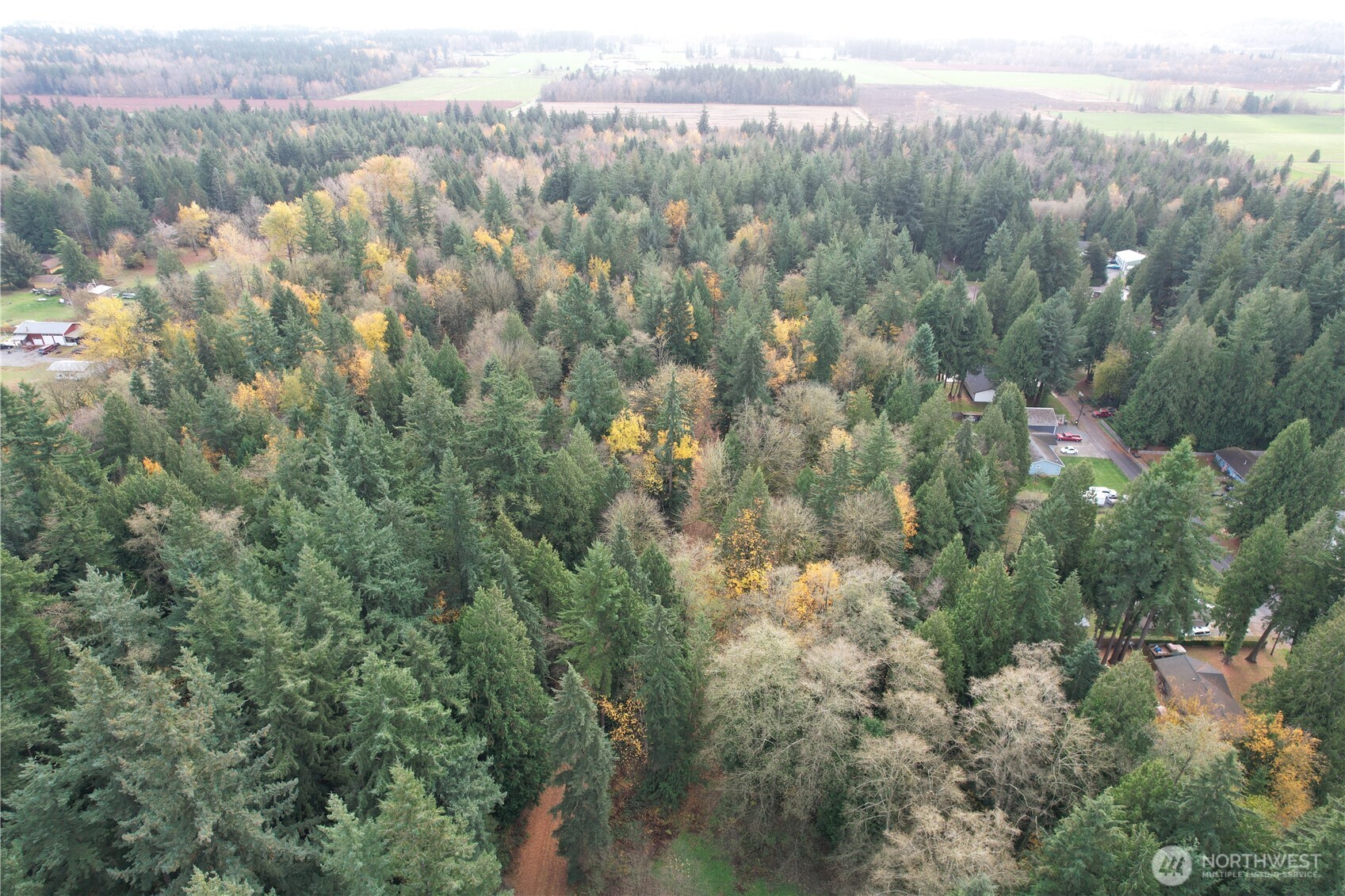 8085 Audra Lane Custer, WA 98240 - Photo 8 of 14 a view of a lot of trees and yard