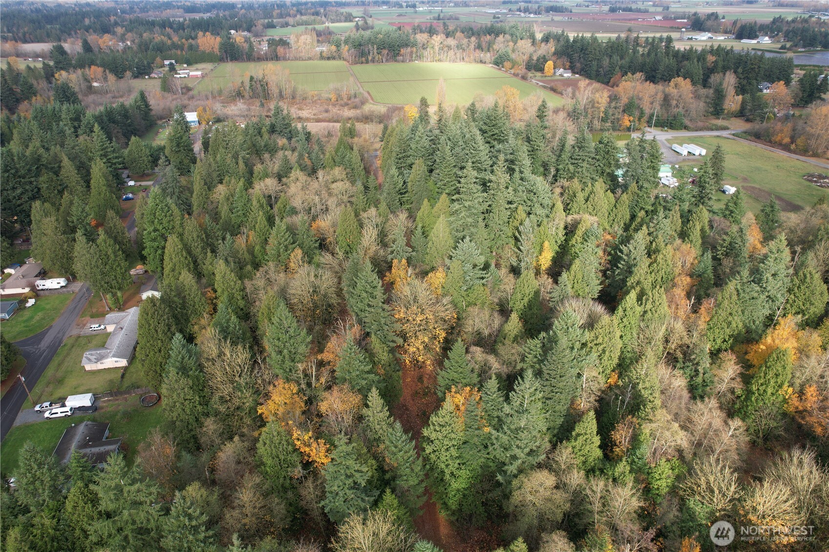 8085 Audra Lane Custer, WA 98240 - Photo 10 of 14 a view of lake with green space