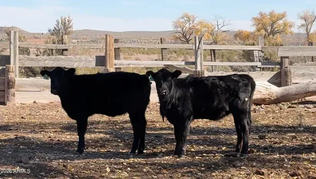 $28,000,000 | 1889 North Road, Winslow, AZ 86047