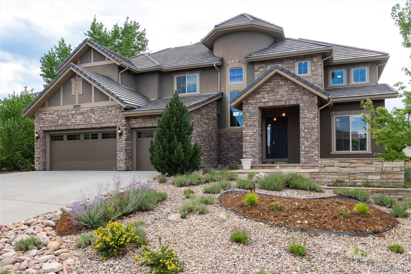 10703 Braesheather Court Highlands Ranch, CO 80126 - Photo 22 of 49