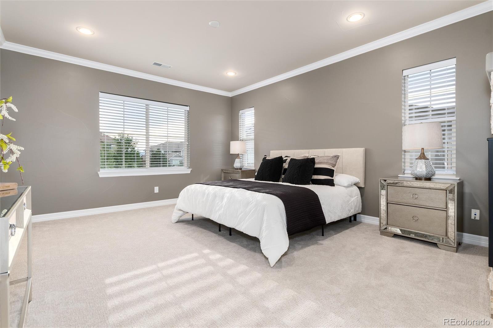 10703 Braesheather Court Highlands Ranch, CO 80126 - Photo 10 of 49