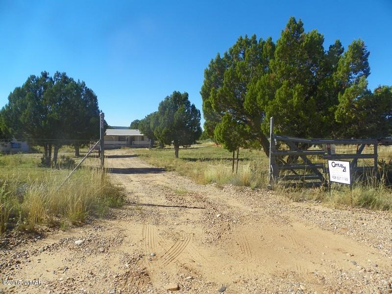 4452 East Pinto Road Snowflake, AZ 85937 - Photo 20 of 21 a view of a yard