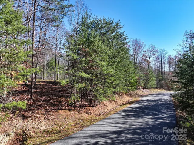 a view of a yard with plants and trees