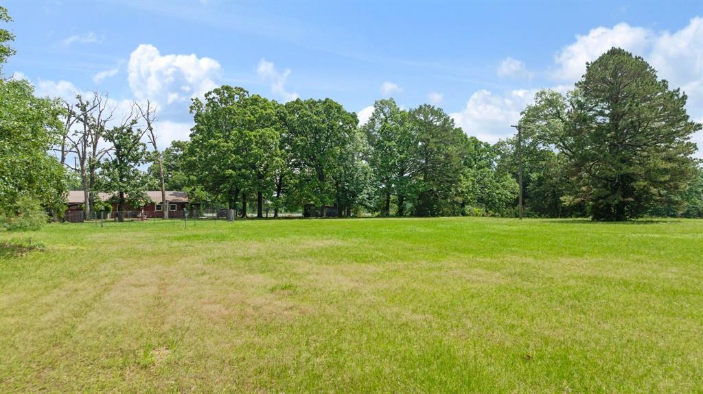9157 Highway 271 Powderly, TX 75473 - Photo 20 of 28
