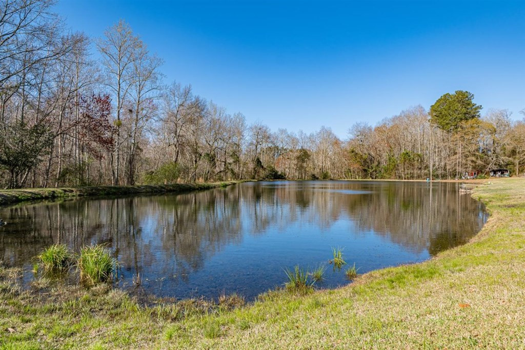 263 Greenville Road Warrenville, SC 29851 - Photo 5 of 42