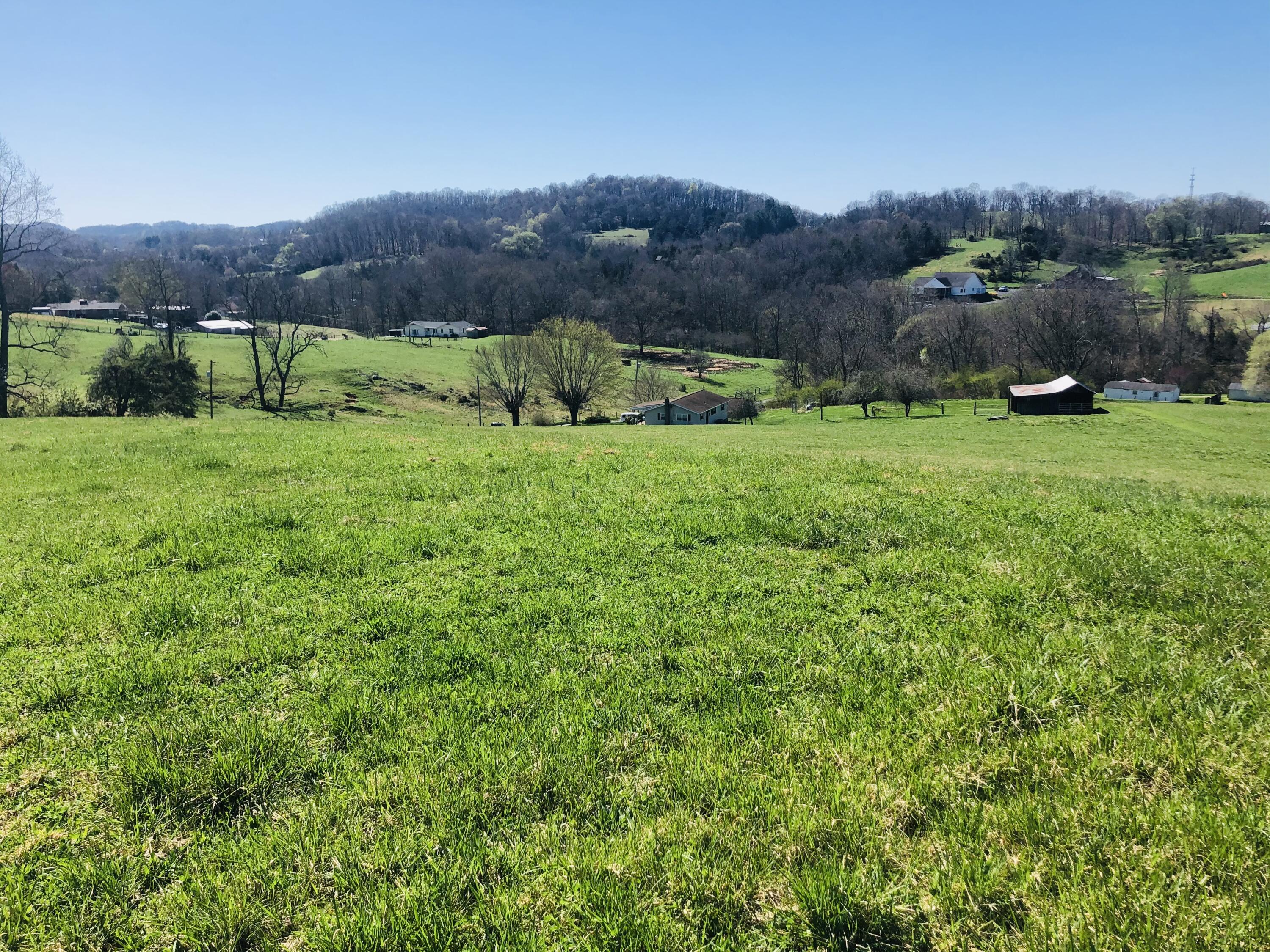 630 Ford Creek Road Gray, TN 37615 - Photo 11 of 36 IMG_5637
