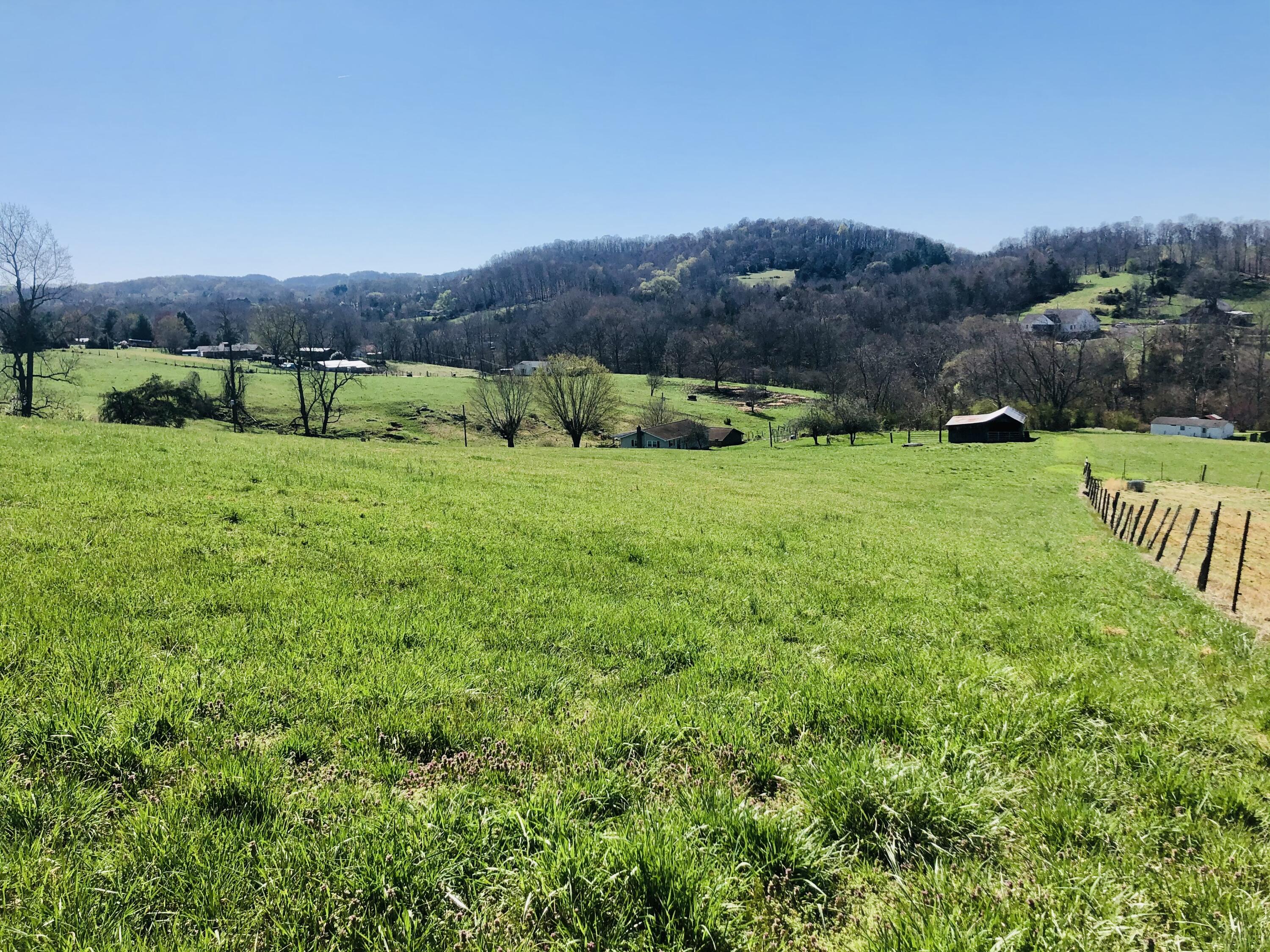 630 Ford Creek Road Gray, TN 37615 - Photo 12 of 36 IMG_5636