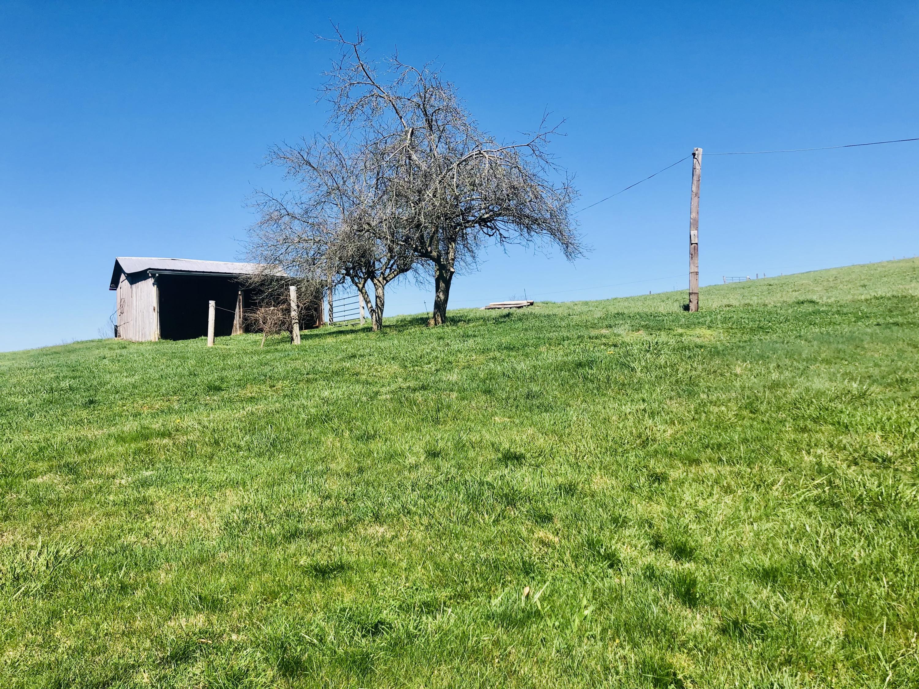 630 Ford Creek Road Gray, TN 37615 - Photo 6 of 36 IMG_5628