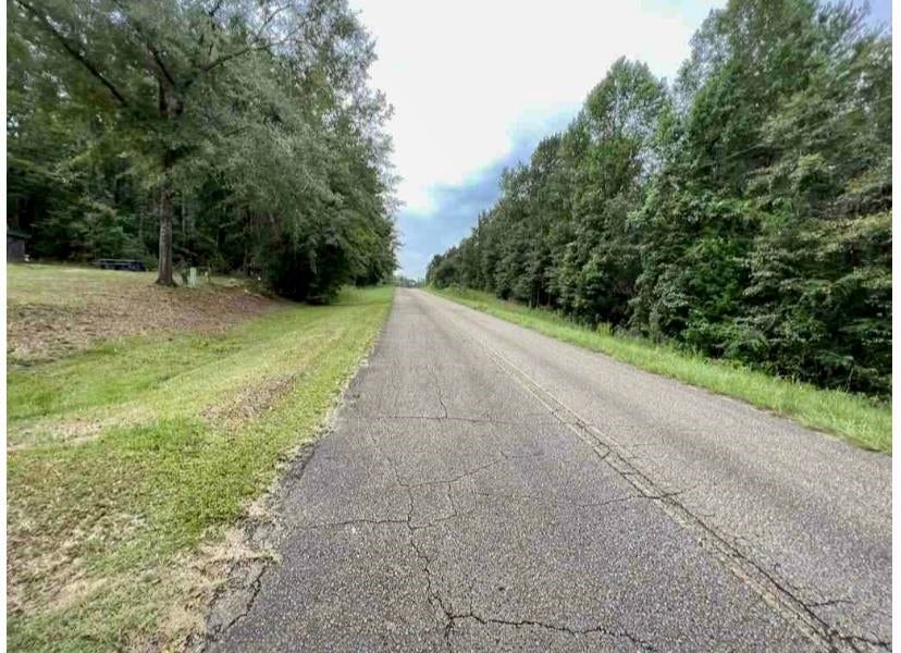 34678 Good Hope Road Dozier, AL 36028 - Photo 6 of 34 Gallery Image 6