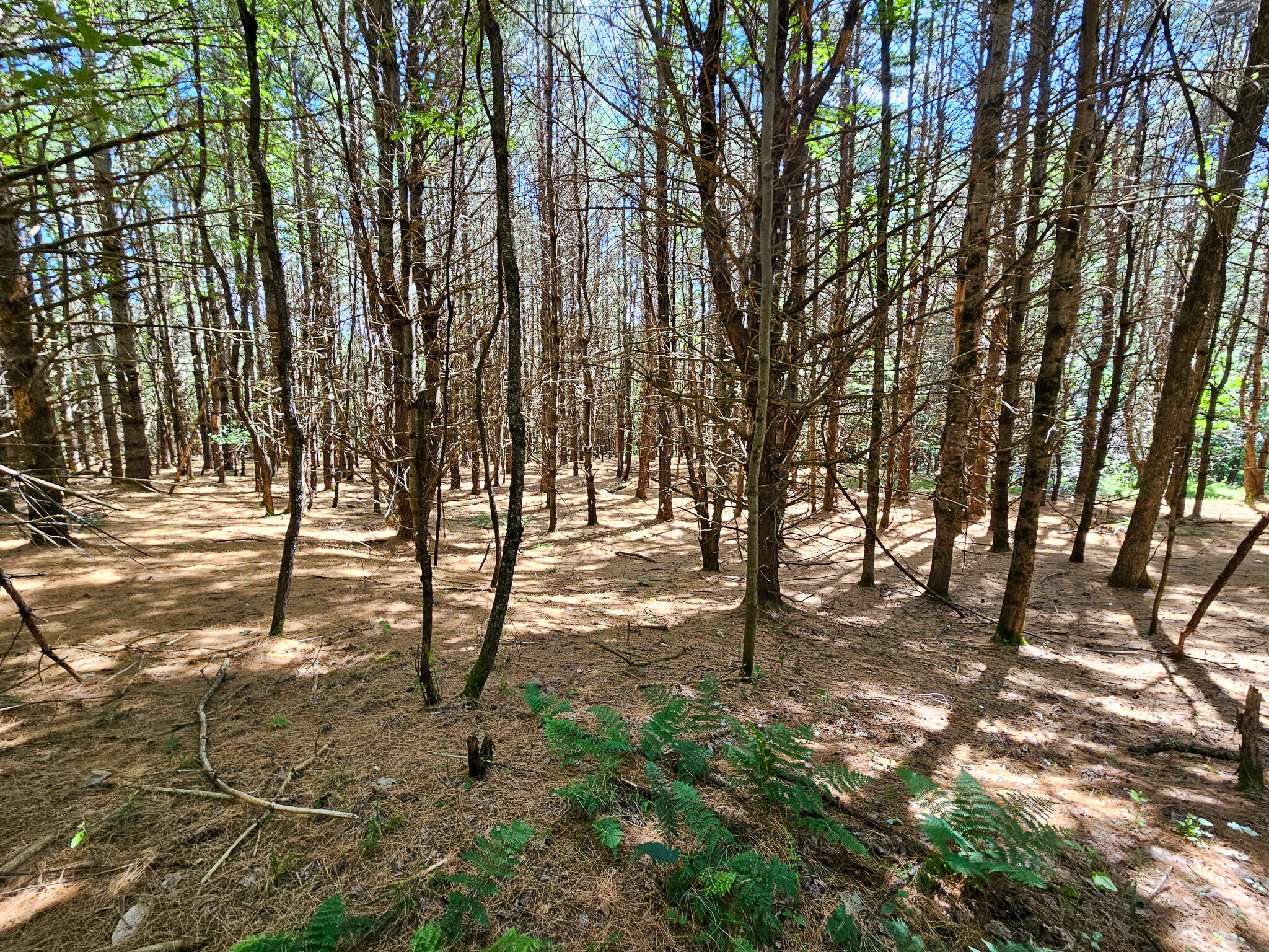 11-31-c Stone Hill Road Farmington, ME 04938 - Photo 17 of 22