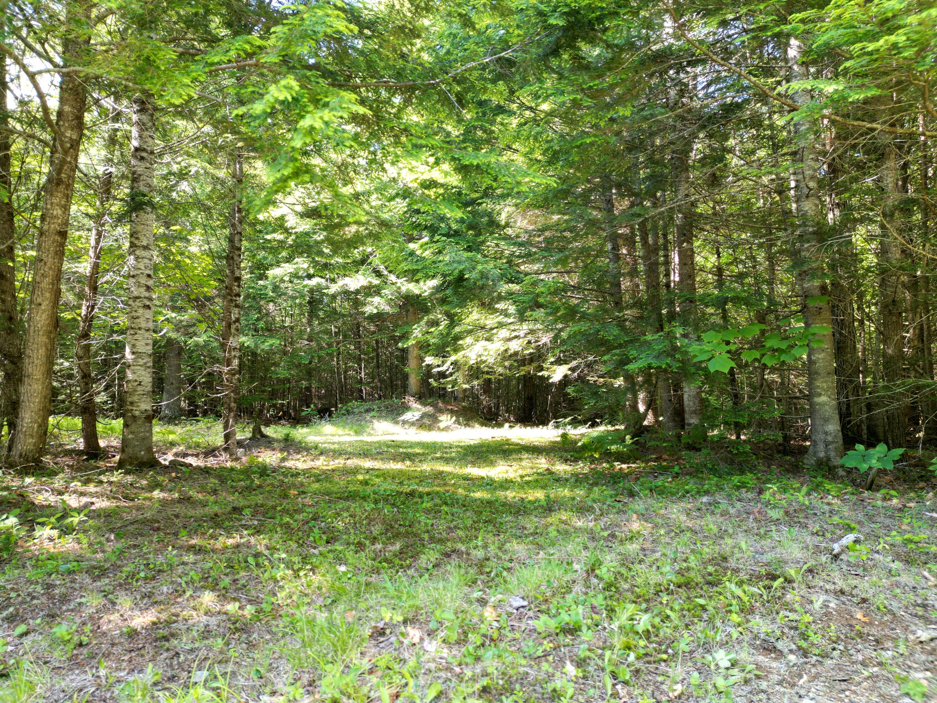 195 West Old Main Road Lowell, ME 04493 - Photo 13 of 18 DJI_0791