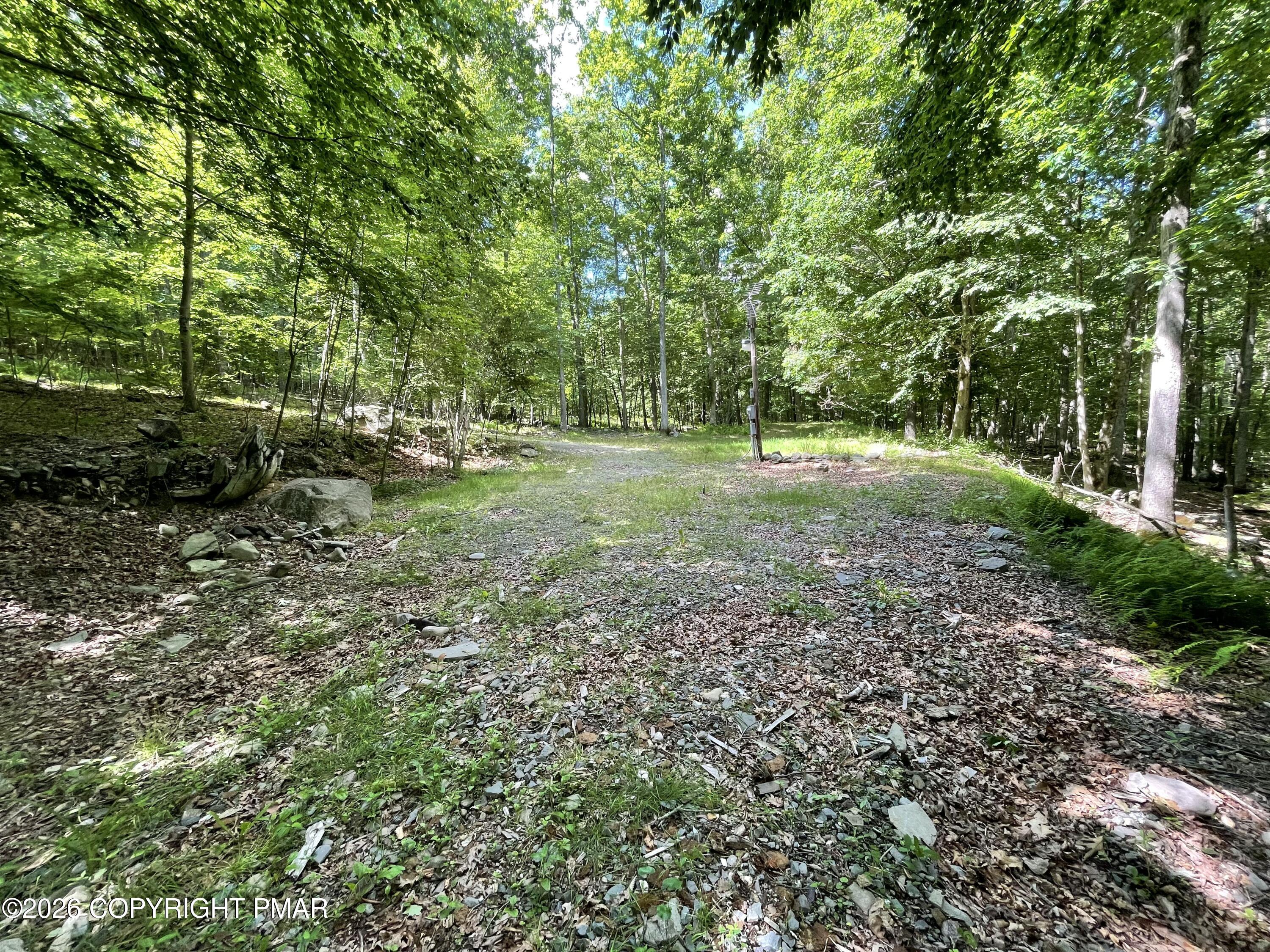 240 Mud Run Road Cresco, PA 18326 - Photo 3 of 7 Land