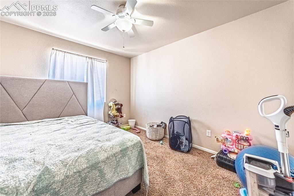 3054 Harpy Grove Colorado Springs, CO 80916 - Photo 23 of 29