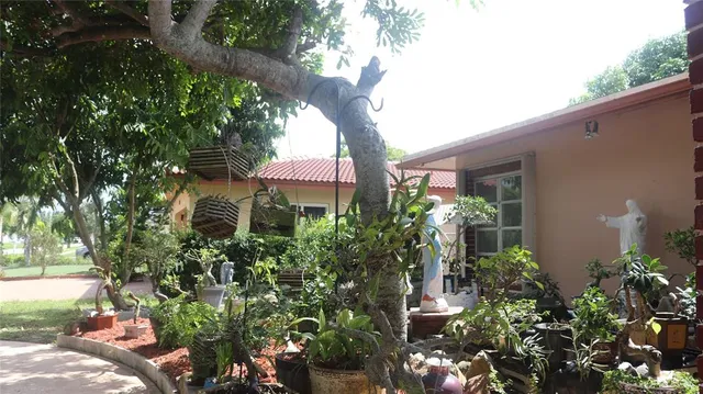 front view of a house with a tree