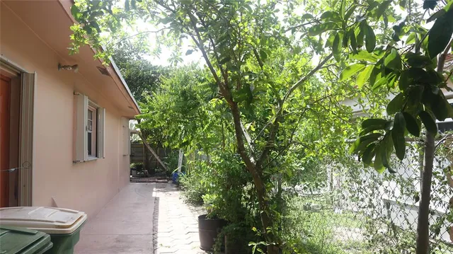 a view of a backyard with plants and a tree