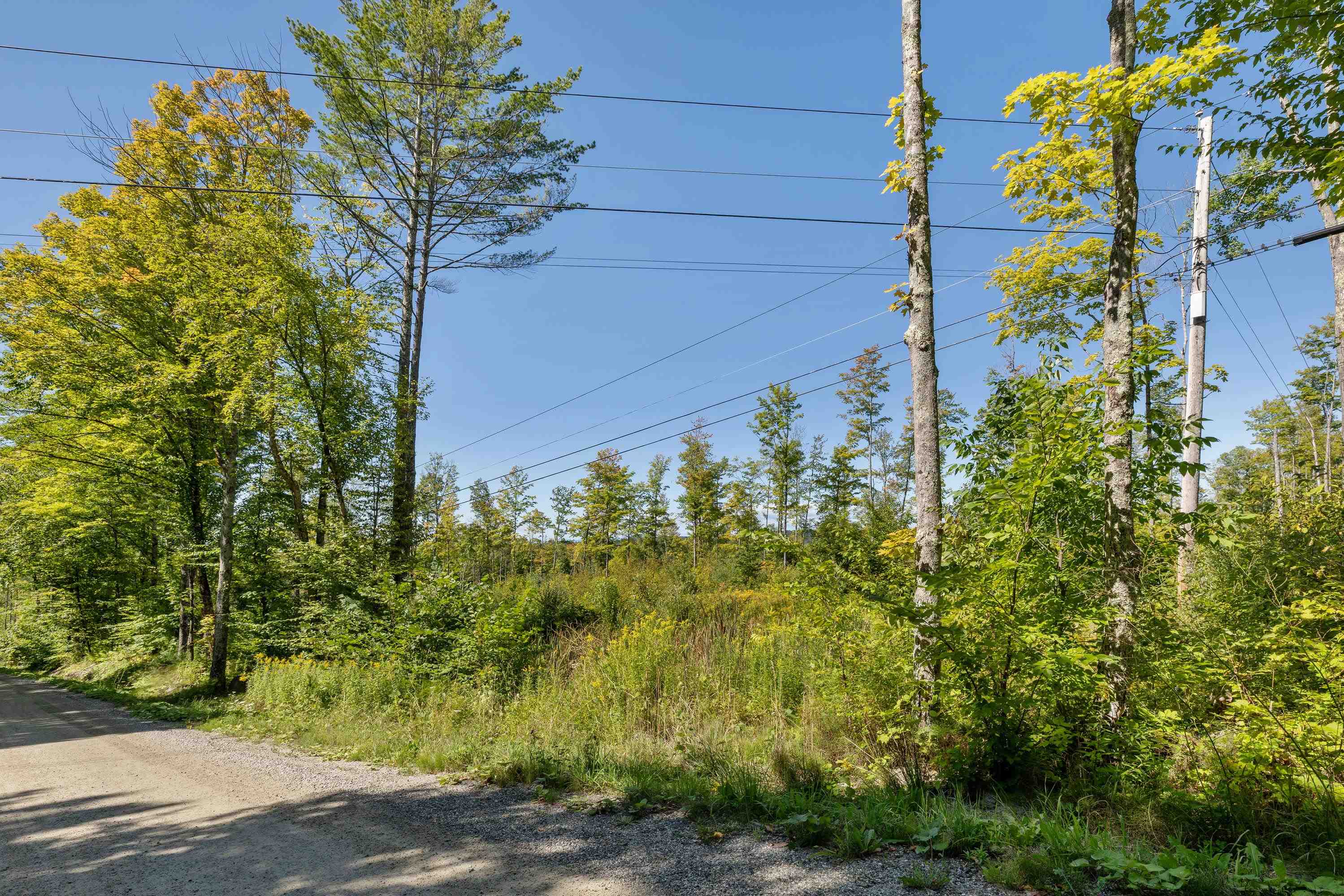 177 Cilley Hill Road, Unit 6 Jericho, VT 05465 - Photo 7 of 17 Gallery Image 7
