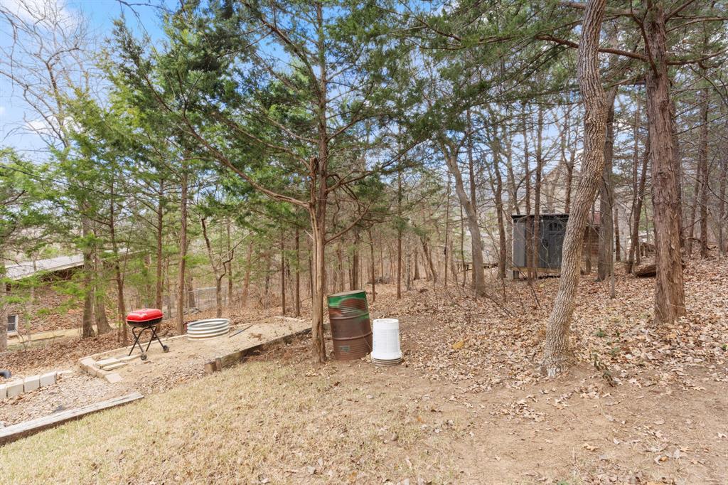 150 Spanish Trail Pottsboro, TX 75076 - Photo 27 of 36 a view of road and trees