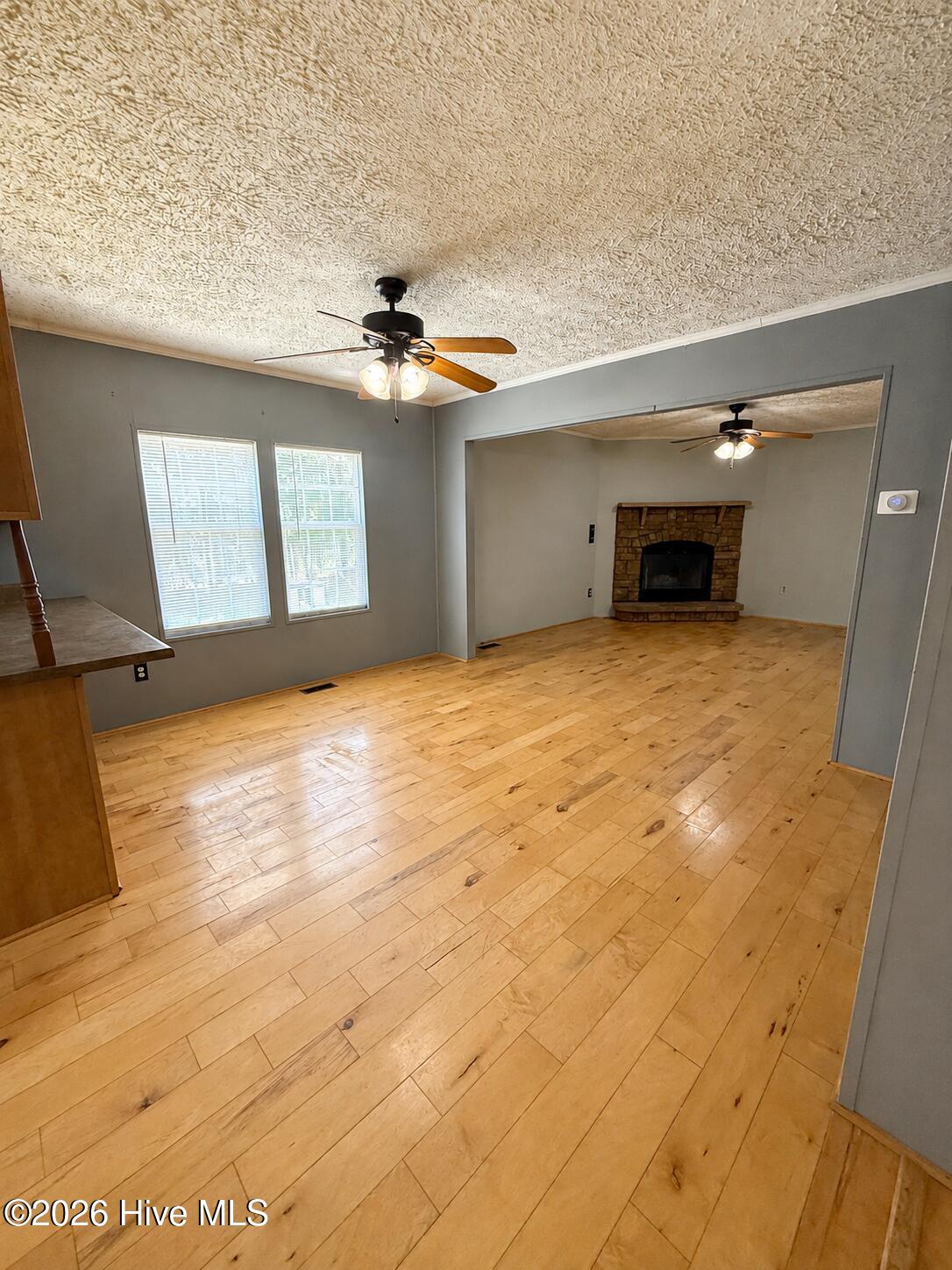 6549 Snider Road Mitchell, GA 30820 - Photo 4 of 22 Gallery Image 4