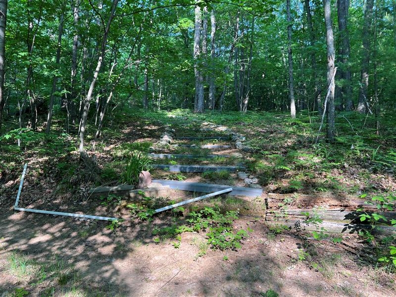 47 South 47 3/4 Road Cadillac, MI 49601 - Photo 30 of 59