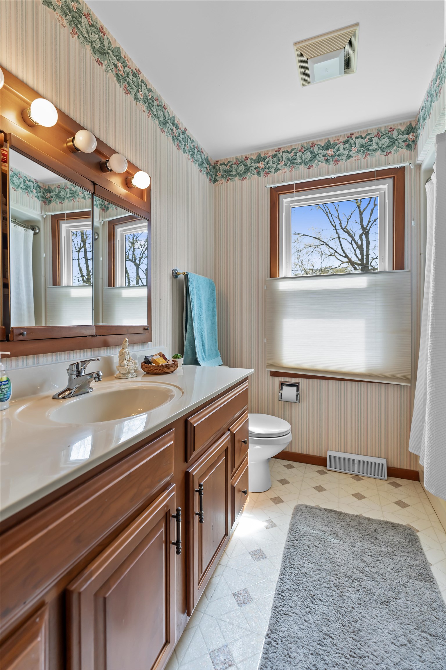 533 Shady Wood Way Madison, WI 53714 - Photo 29 of 46