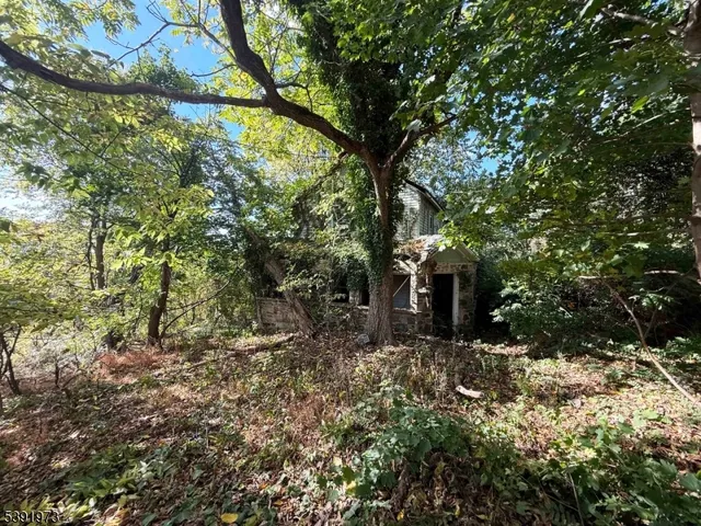 a view of a house with a tree