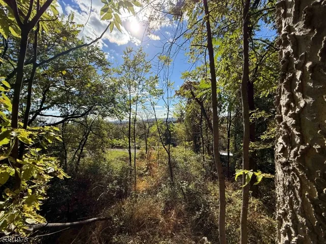a backyard of a house with lots of trees