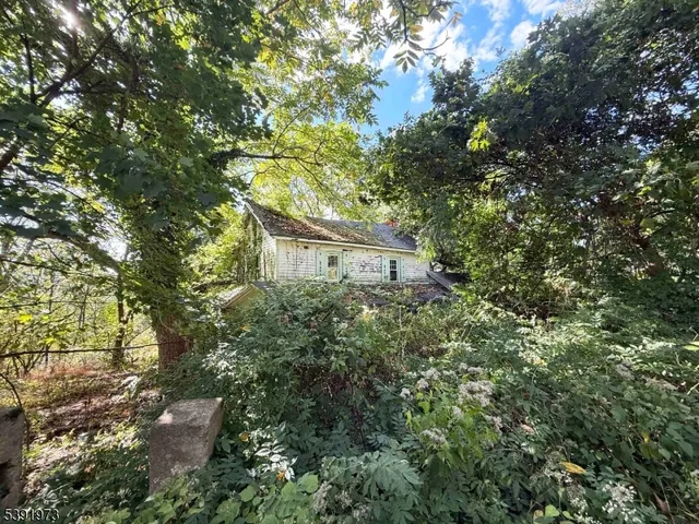 a view of a yard with plants and a trees