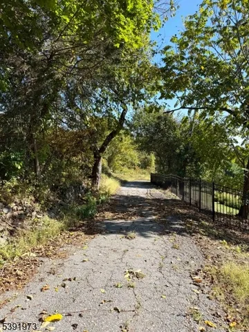 a view of a yard with plants and trees