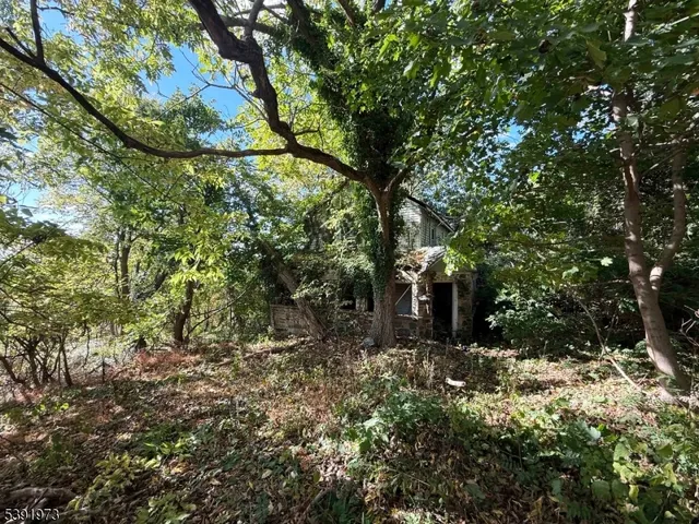 a view of outdoor space and garden