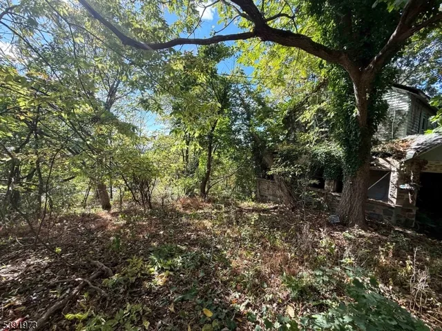 a view of outdoor space and yard