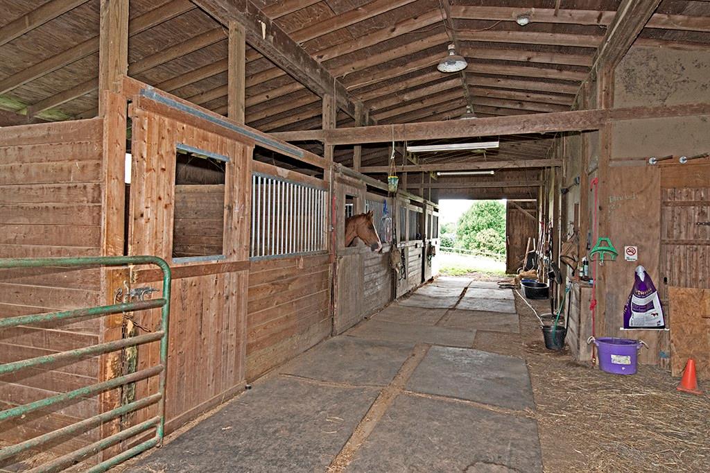 354 Scott Ridge Road Harmony, PA 16037 - Photo 19 of 22 four stall barn