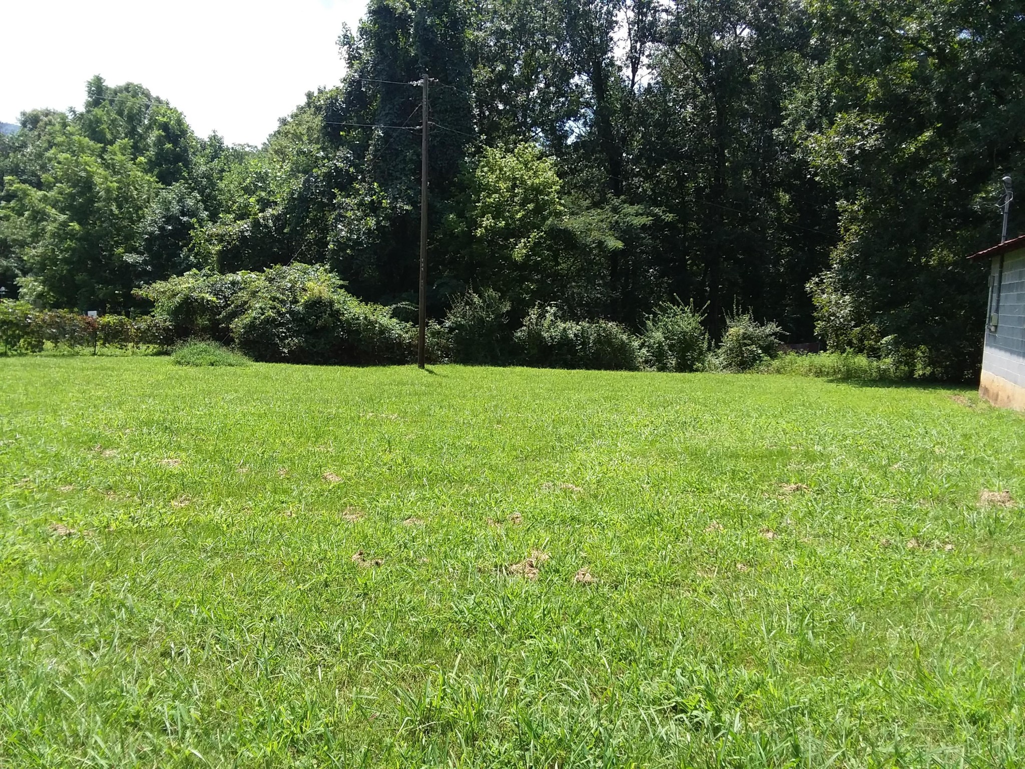 0 Denton Hayes Road Maryville, TN 37803 - Photo 1 of 5 Gallery Image 1
