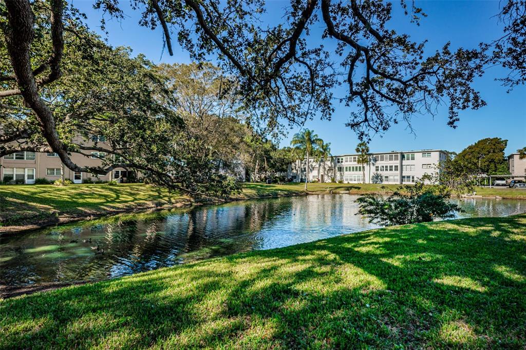 936 Virginia Street, Unit 201 Dunedin, FL 34698 - Photo 27 of 43