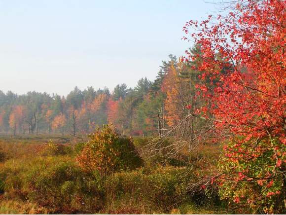 - Nashua Road Sharon, NH 03458 - Photo 1 of 1