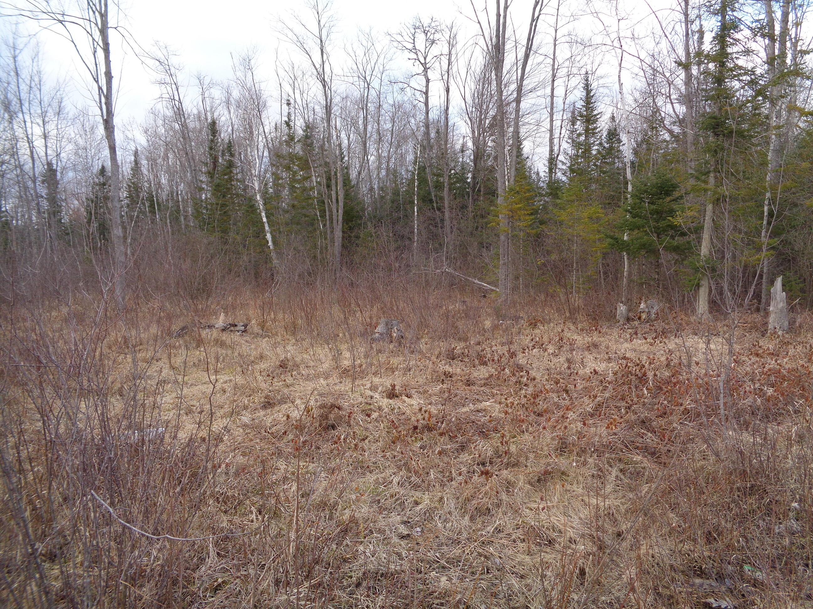 130 Custer Road Alpena, MI 49707 - Photo 3 of 7 Gallery Image 3