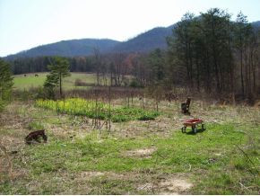 450 Round Knob Road Greeneville, TN 37743 - Photo 2 of 6 Mountain view building site