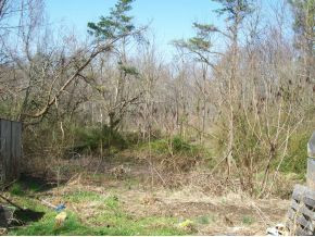 450 Round Knob Road Greeneville, TN 37743 - Photo 3 of 6 Small Pond