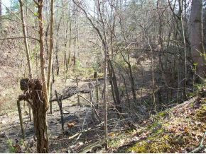 450 Round Knob Road Greeneville, TN 37743 - Photo 5 of 6 Creekbed