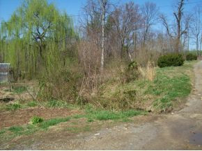 450 Round Knob Road Greeneville, TN 37743 - Photo 6 of 6 Willows