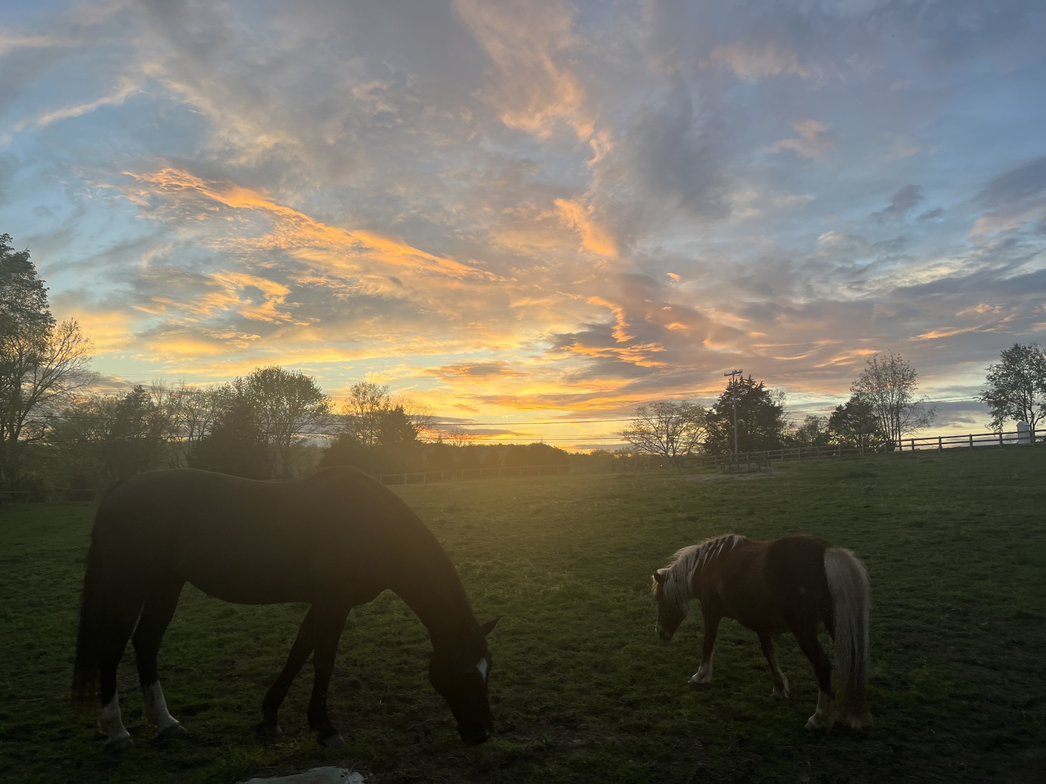 1055 Franklin Road Gallatin, TN 37066 - Photo 59 of 60 a view of lake with green space
