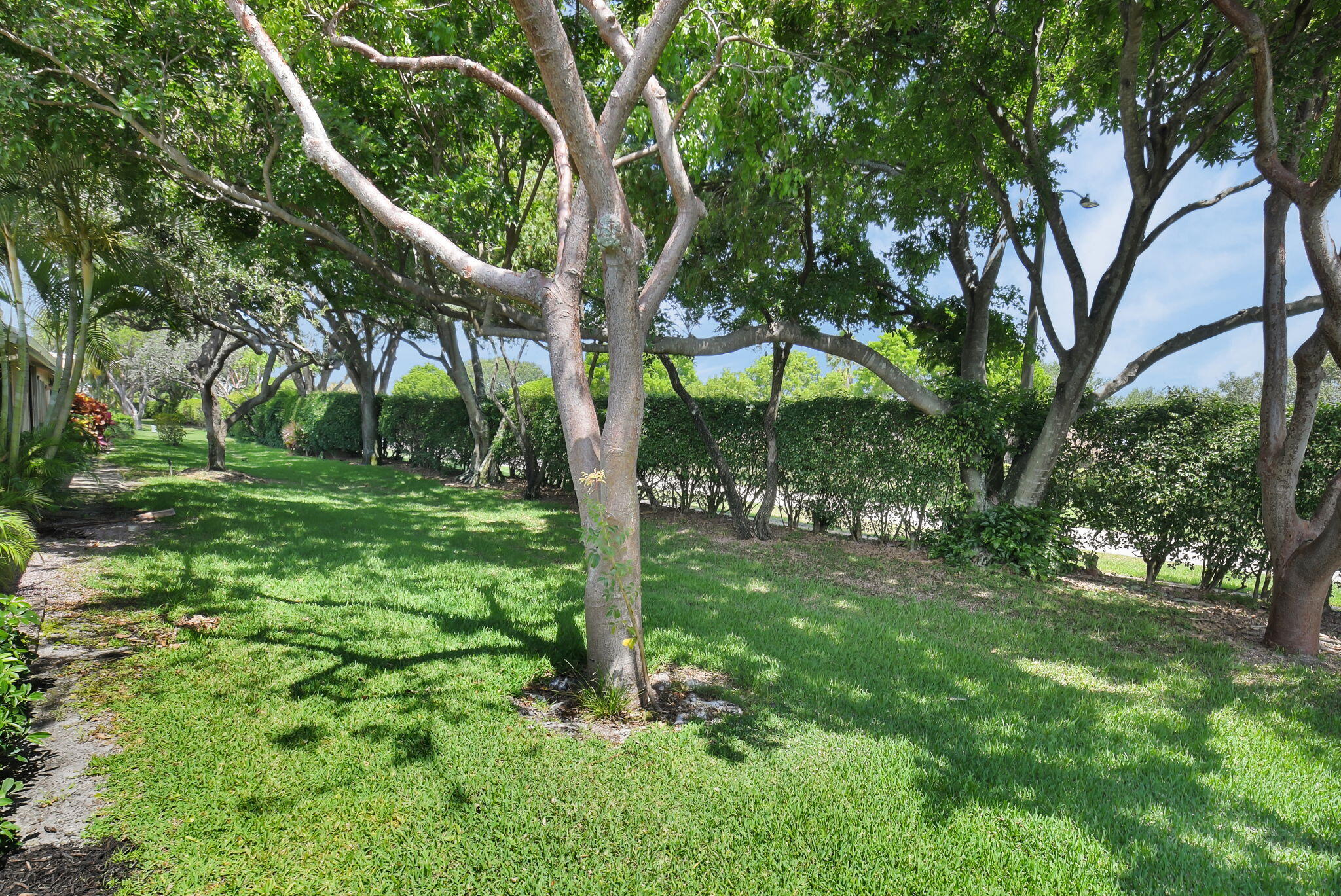 8269 Springtree Road Boca Raton, FL 33496 - Photo 32 of 63 32-web-or-mls-DSC_7323
